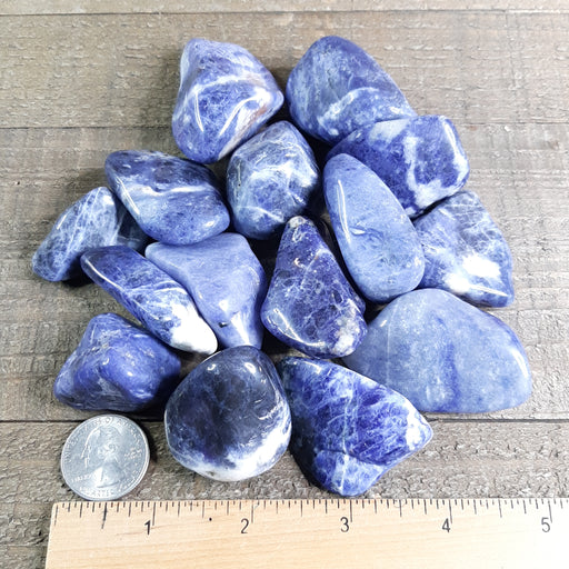 Large A Grade Blue Sodalite Stones with Ruler