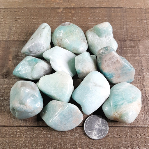 Amazonite Tumbles Gemstones Group with Quarter