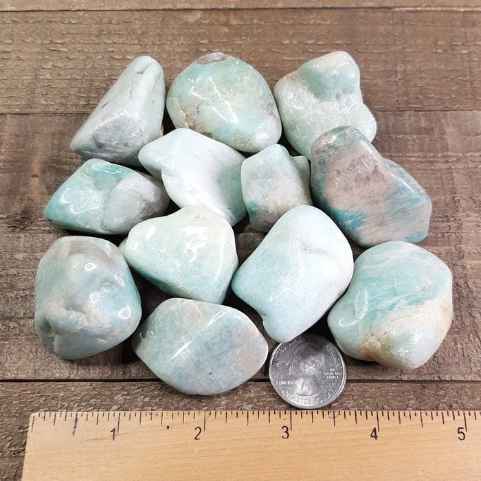 Amazonite Tumbles Gemstones Group with Ruler