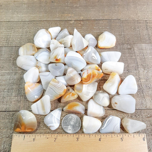 Banded Agate Tumbled Stone A Grade Sm-Med Madagascar with Ruler