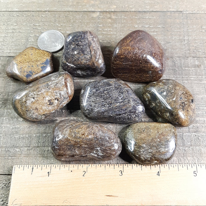 Bronzite Tumbled Stones Group with Ruler