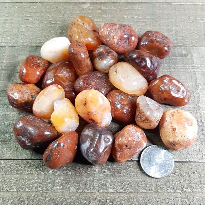 Dark Carnelian Tumbled Stones Group