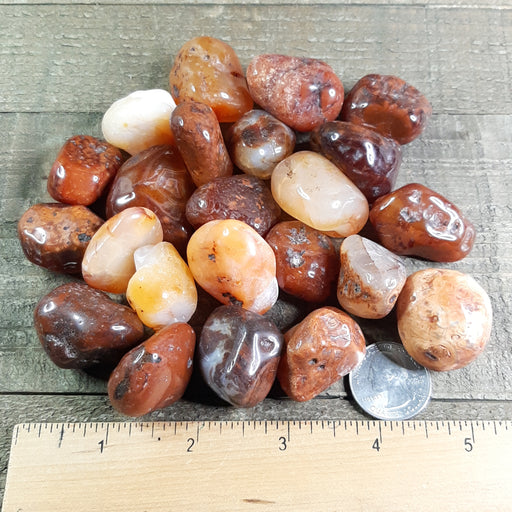 Dark Carnelian Tumbled Stones Group with Ruler