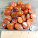 Carnelian Tumbled Gemstones EX Grade Group with Ruler