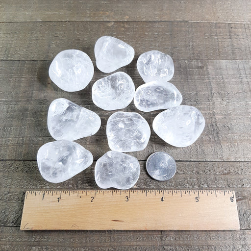 Quartz Crystal Tumbled Stones Large EX Grade Brazil Group with Ruler