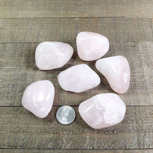 Rose Quartz Tumbled Stones XL EX Grade Group