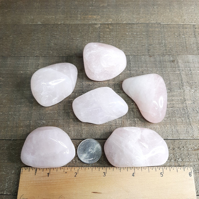 Rose Quartz Tumbled Stones XL EX Grade Group with Ruler