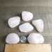 Rose Quartz Tumbled Stones XL EX Grade Group with Ruler