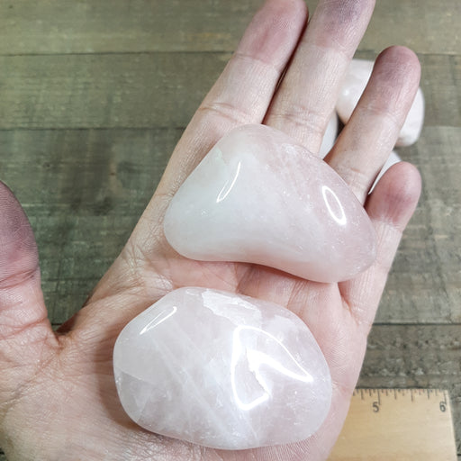 Rose Quartz Tumbled Stones XL EX Grade 2 Stones in Hand