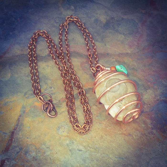 Copper Wrapped Jumbo Snail Shell Necklace